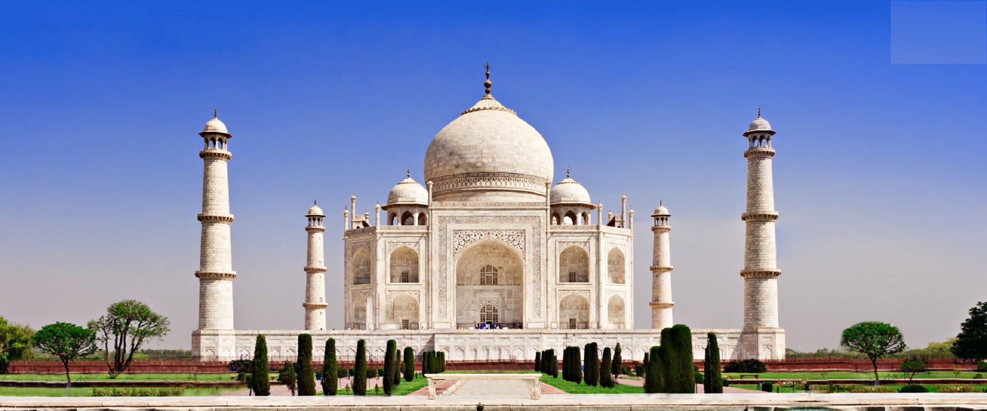 Explore the Golden Triangle Tour with Wildlife